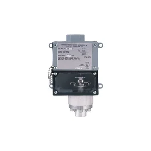 Dwyer 1000W Pressure Switch