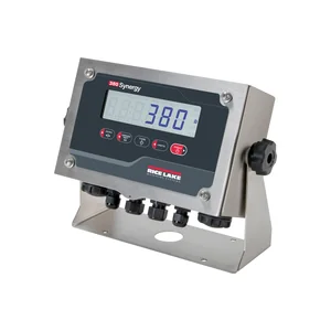 Rice Lake 380 Synergy Series Digital Weight Indicator