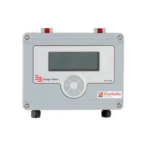 Badger Meter RCT1000 Transmitter
