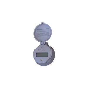 Badger Meter Recordall Registration and Endpoint