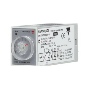 Carlo Gavazzi Type HAA Timer