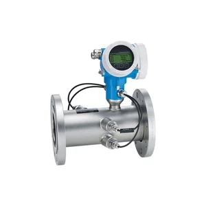E+H Proline Prosonic Flow B 200 Ultrasonic Flow Meter