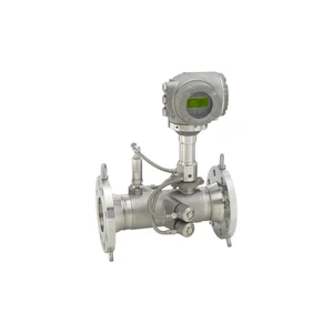 E+H Proline Prosonic G 300 Ultrasonic Flowmeter