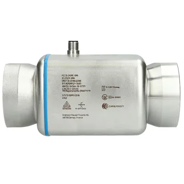 Endress+Hauser Picomag DMA50-AAADA1
