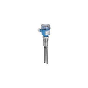 E+H Soliphant FTM50 Level Switch