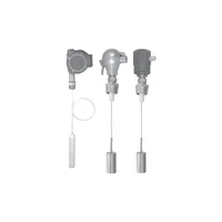 Intempco LTX40 Flexible Capacitance Level Transmitter