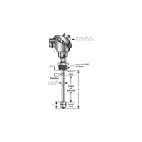 Intempco LFT01 Float Level Transmitter