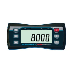 Rice Lake MSI-8000 RF Remote Display