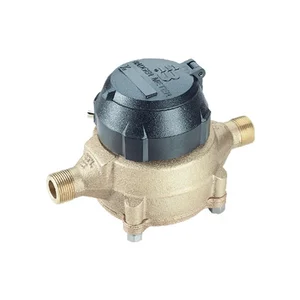 Badger Meter RCDL Nutating Disc Flow Meter