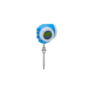 E+H Proline T-Mass I 300 Thermal Mass Flow Meter