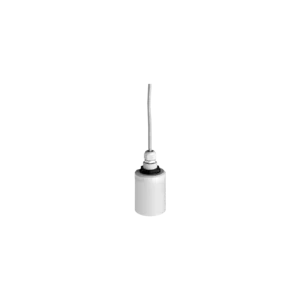 FDU91-RG2AA | E+H Ultrasonic Measurement Time-of-Flight Prosonic FDU91