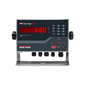 Rice Lake 680 Synergy Plus Weight Indicator
