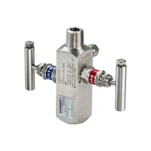 0306RT12AA11 | Rosemount™ 306 In-Line Manifold